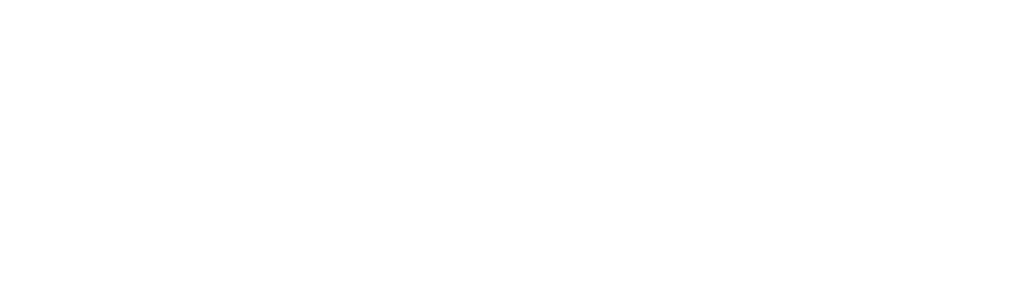 Fiscale